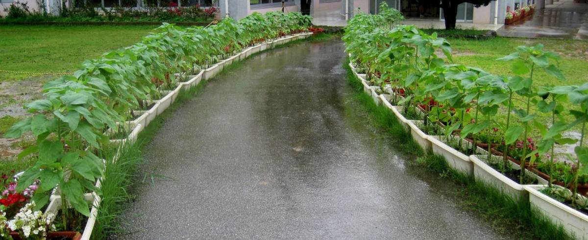 梅雨の兼次小学校